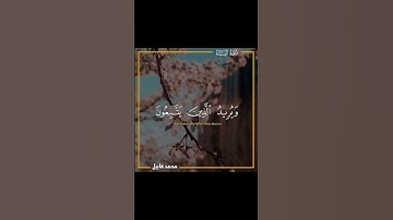 والله يريد أن يتوب عليكم - سورة النساء ( القارئ محمد قابيل )