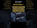 The Dark Truth About Dreadnoughtswarhammer40k 40kdaily The Dark Truth About Dreadnoughtswarhammer40k 40kdaily