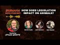 How does legislation impact on animals?