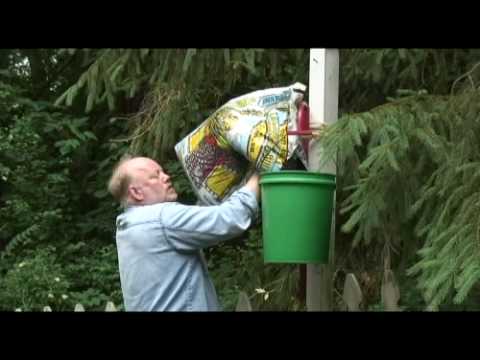 Digging with Doug Upside down tomatoes