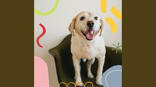 Simple Backdrops for Doggy Bedtime