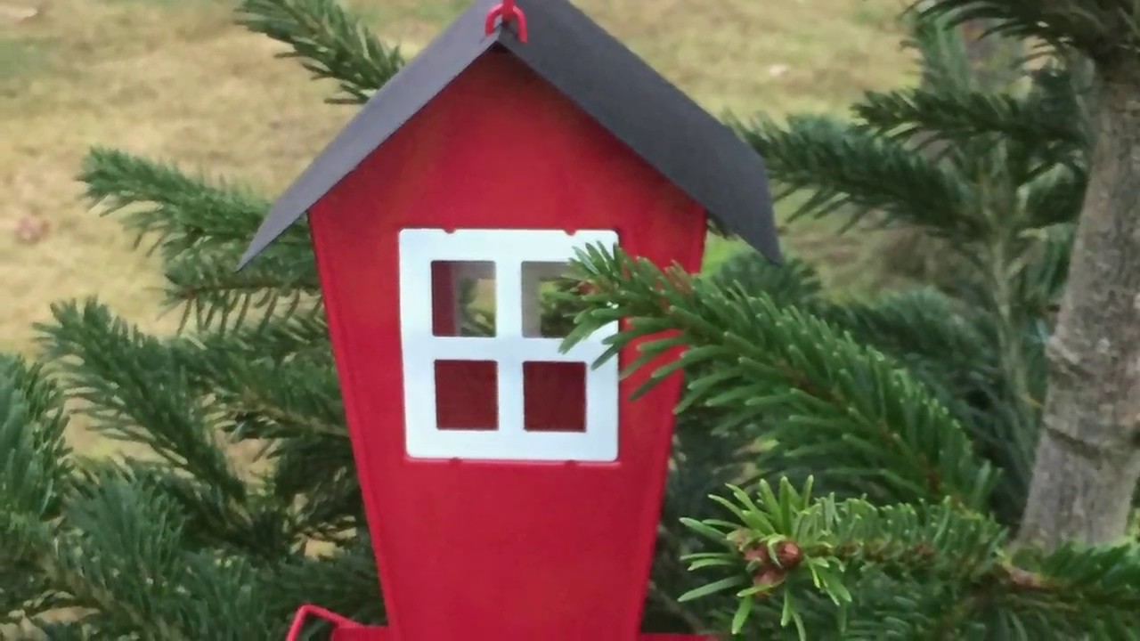 hugga julgran lund Julgranar självhuggning   Norregårdens Julgranar, Dalby Lund   YouTube