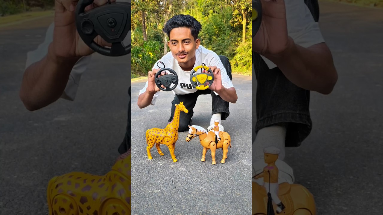 Remote Control 1Ta giraffe And 1Ta Mini Horse Unboxing Review Testing