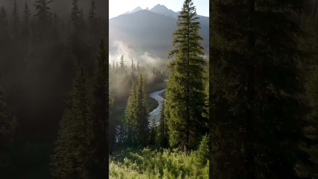 Aube Sereine : Évasion en Montagne