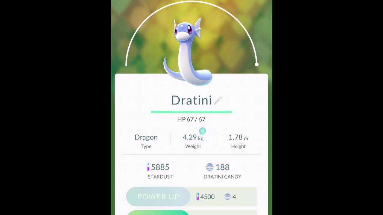 Omgf Highest Cp Dragonite Evolution Youtube