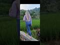 main di sawah bareng janda cantik #jandadesa #jandacantik #sawah #suasanapedesaan