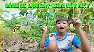 Vlog Cách Bé Lâm Bẫy Chim Hút Mật, Đơn Giản Như Thế Nào ?