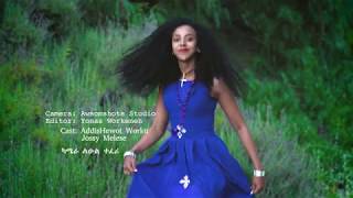 Mekdes Abebe - መቅደስ አበበ  | New Ethiopian Official Music - Fikir ena Wana