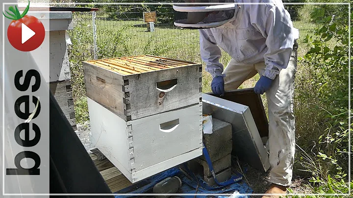 Beginning Beekeeping - Choose Wisely - Harvest Honey