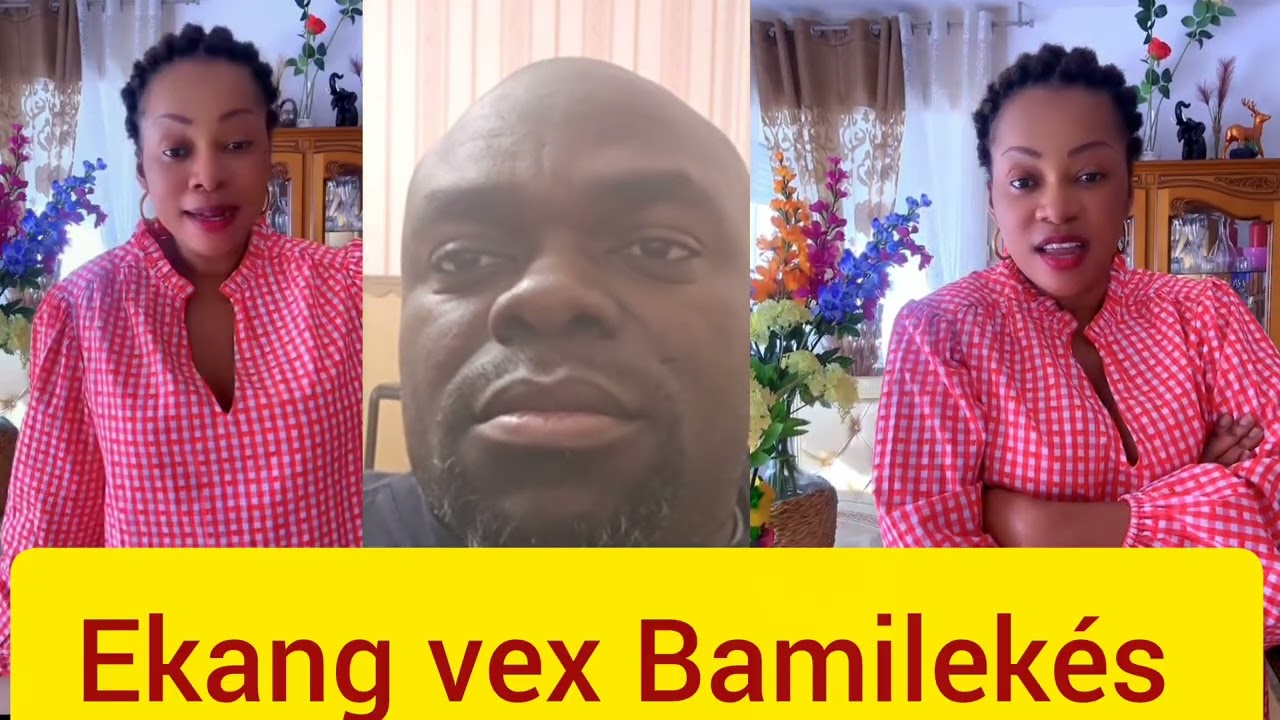 Bamilekés vex Ekang Mani Bella inpartiel             Elise_bisso se fait arrêter par la police