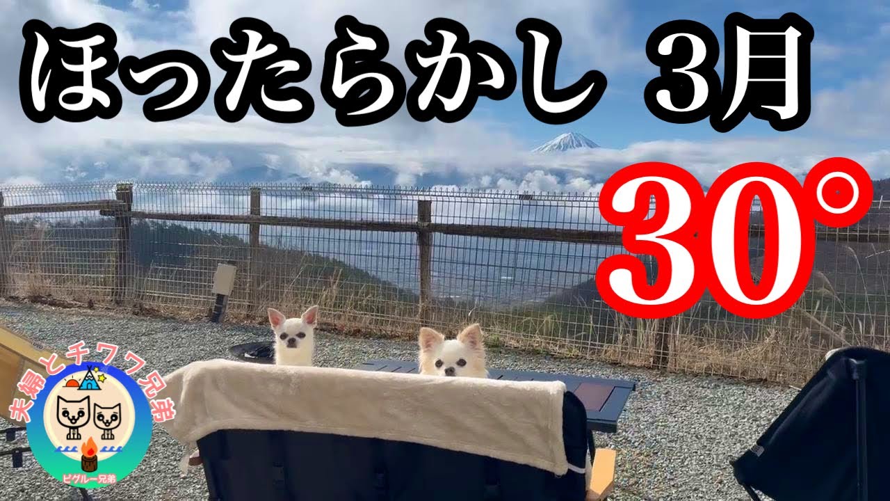 春キャンプのはずが…犬連れキャンプの暑さ対策始めとおススメ商品ちらほらご紹介【ほったらかしキャンプ場】ほったらかしサイト1/ほぼマルチグリドルだけのキャンプ飯【犬連れ夫婦キャンプ】