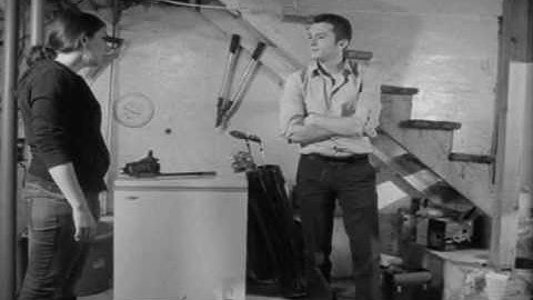 Finneaus (Part 1 or 2)