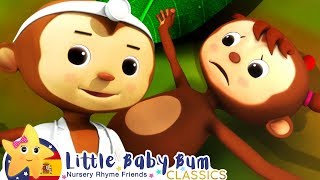 Canciones Infantiles |  El Doctor y Cinco Monitos | Dibujos Animados | Little Baby Bum en Español