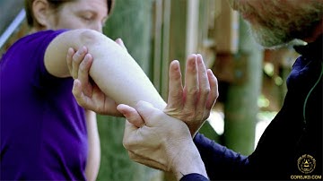 Lock Flow Series—Core JKD Joint Locks Flow