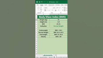 BMI Calculator in Excel #Shorts