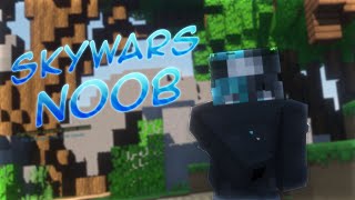The Worst Skywars Player Minecraft