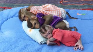 Very Cutest Three Adorable Relaxing Outdoor After Got Lunch