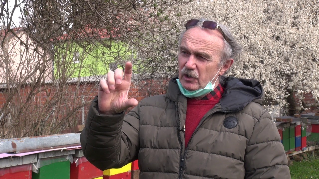 Radovi s pčelama u proljeće - Zlatno klasje #205