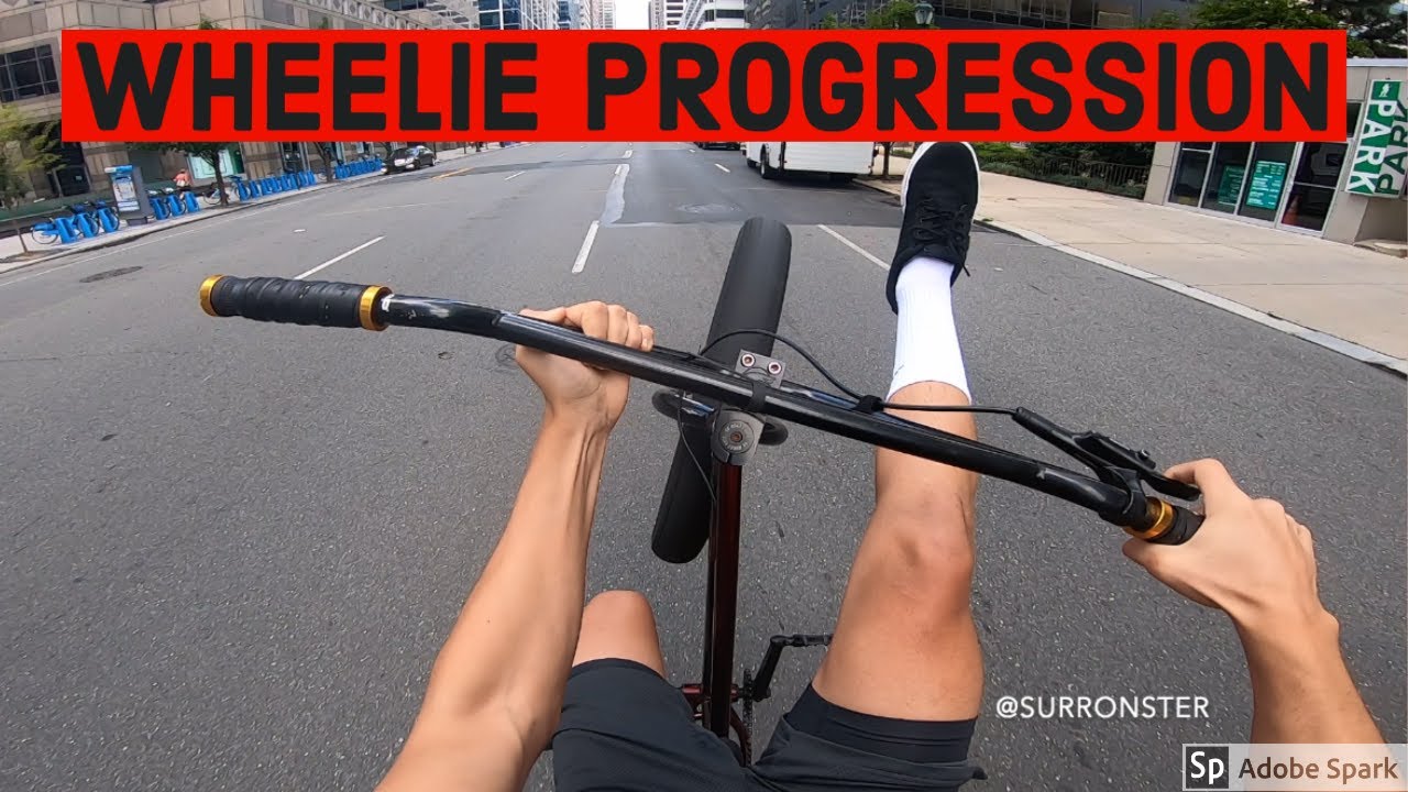 4 MONTH WHEELIE PROGRESS EDIT // SE Fat Ripper YouTube