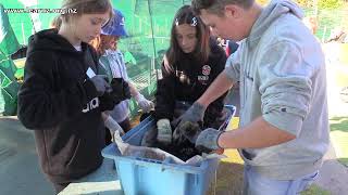 Learnz River Restoration Online Field Trip Waikanae Estuary Care Group Nursery