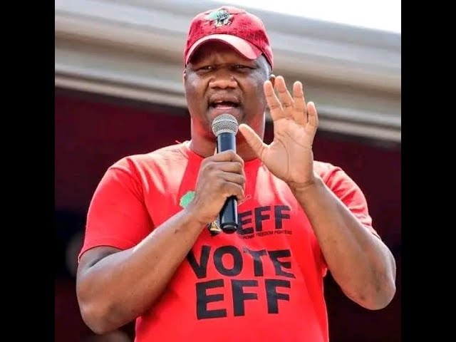 WATCH: EFF SG, Marshall Dlamini received an 18-month prison sentence