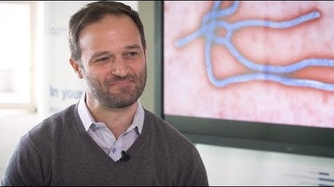 Future of Biophysics –Conformational Dynamics of Single Viral Membrane Fusion Machines