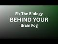 Brain Fog Explained: Restore Focus, Energy & Mental Clarity 🧠⚡