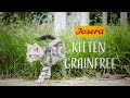 Für kleine Abenteurer: JOSERA Kitten grainfree! #charakterkatze #josera #petfoodwithpassion