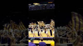 LSU Game day UGA 2018 - TAF Tailgate PMAC