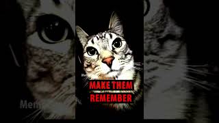 Make Them Remember