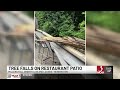 Storm drops tree on Vt. restaurant patio, closes outdoor dining