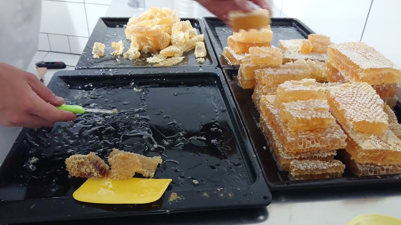 Wabenhonig schneiden und abpacken