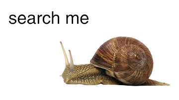 blöda - search me prod. y0w0 (visual representation)