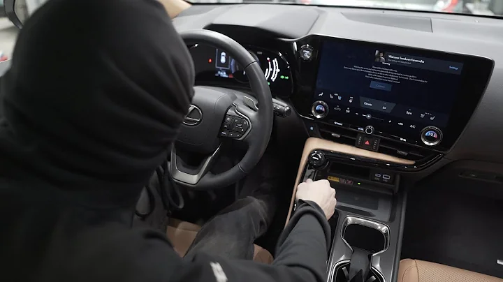 100% THIEF PROOF Car Security IGLA Pin Code System!