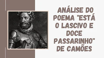Está o lascivo e doce passarinho análise?