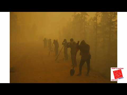 Video: Come Fermare Gli Incendi Boschivi In Siberia