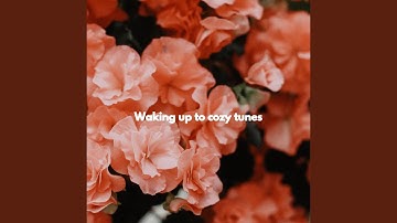 Fashionable Backdrops for Forgetting Summer