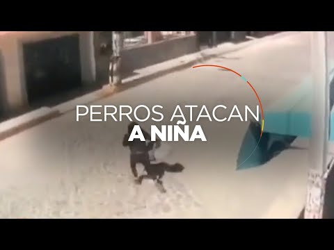 #VIRAL: Perros atacan y arrastran a niña de dos años en el Estado de México