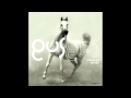 Gus Gus - Arabian Horse