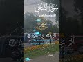 تلاوة خاشعة عطرة مباركة جميلة عذبة للشيخ سعد الغامدي سورة الضحى تلاوة خاشعة عطرة مباركة جميلة عذبة للشيخ سعد الغامدي سورة الضحى