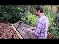 Autumn Rain | Solo Hammered Dulcimer Music by Joshua Messick