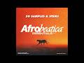 (FREE) Afrobeat Sample Pack + Stems 2026 - Afrobeatica Essentials | Burna Boy, Wizkid, Rema