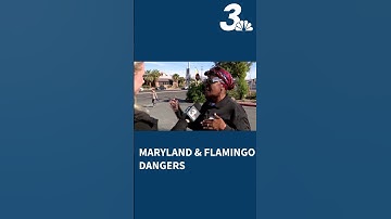 Intersection near UNLV ranked ninth most dangerous in Las Vegas