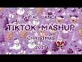 TikTok Party Mashup December 2025 🎅 Not Clean. 🎅