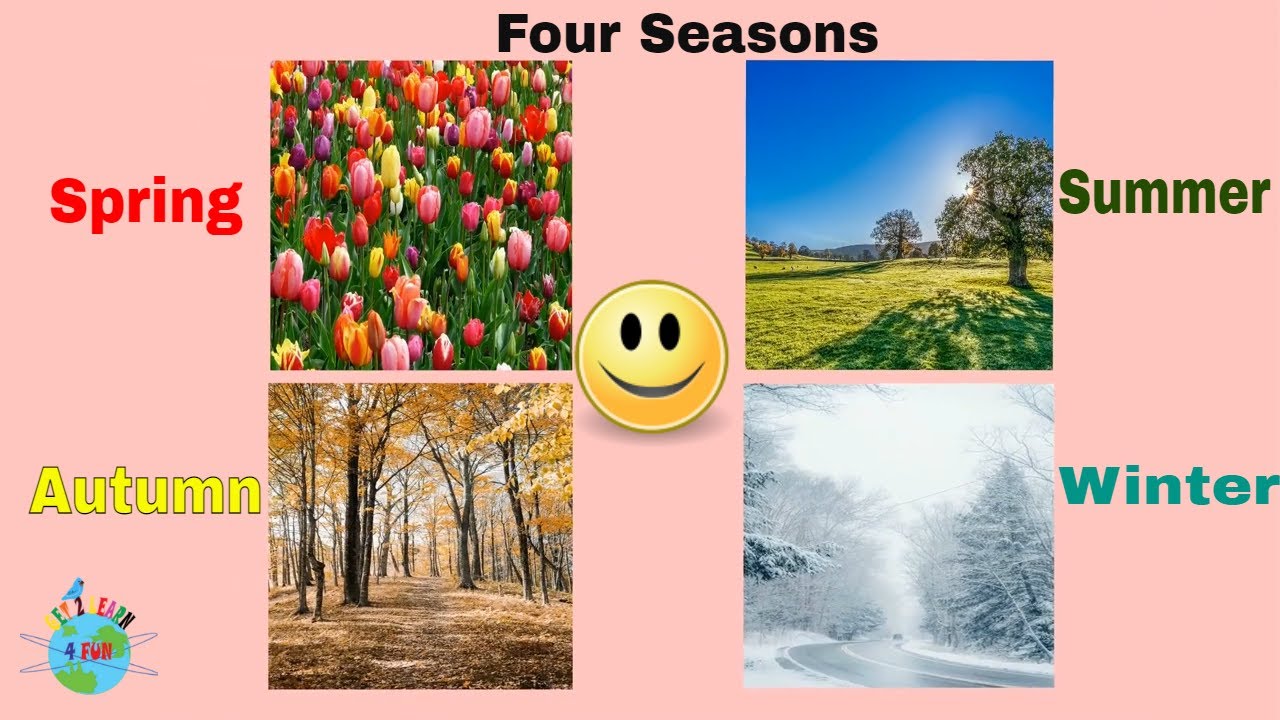 What is Weather Four Seasons Spring Summer Autumn Winter