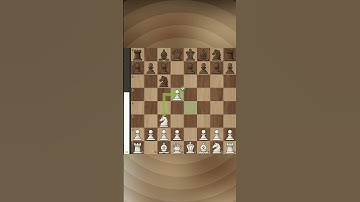 Understanding the Back Rank Weakness