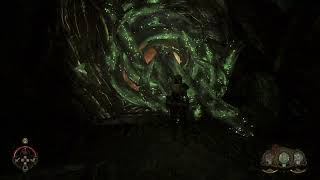 The Fungal Lord, Soulframe Quest