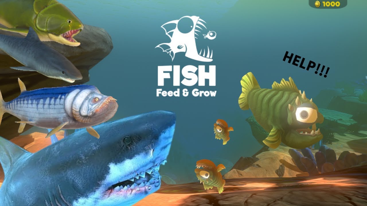 Je tue le Megalodon ?!!!! 