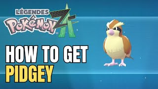 Pokémon Legends Z-A – Where To Find Pidgey