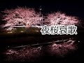 夜桜哀歌 山本譲二 covered by  ‐藤 樹-